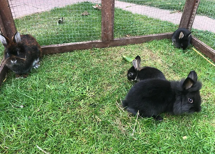 Ostseebauernhof Familie Jaeger