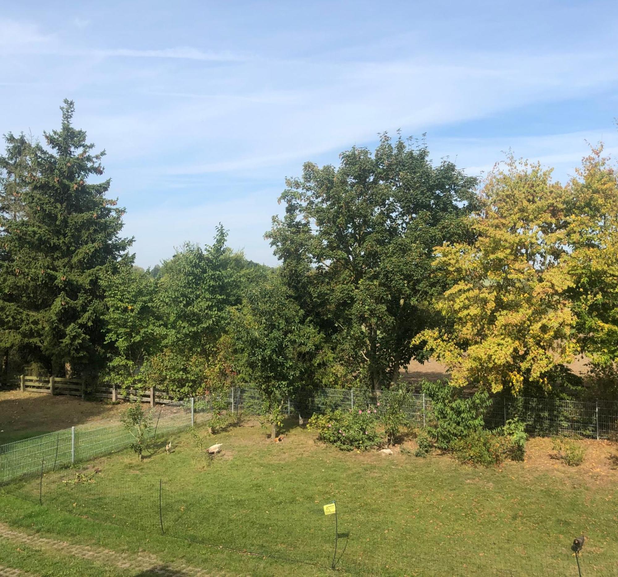 Ostseebauernhof Familie Jaeger Appartement *